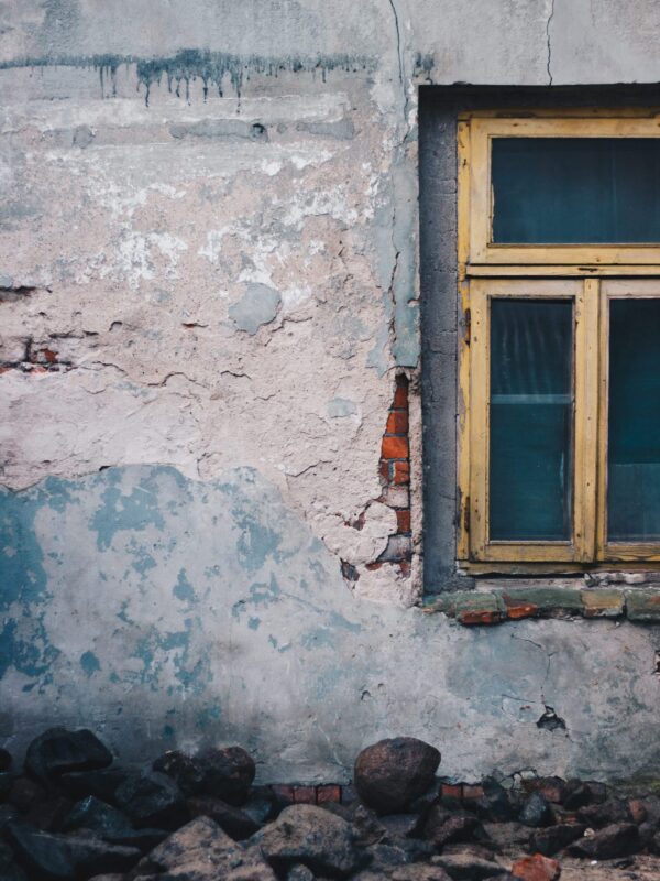 elvis-bekmanis-Jc1BXsF1dcc-unsplash